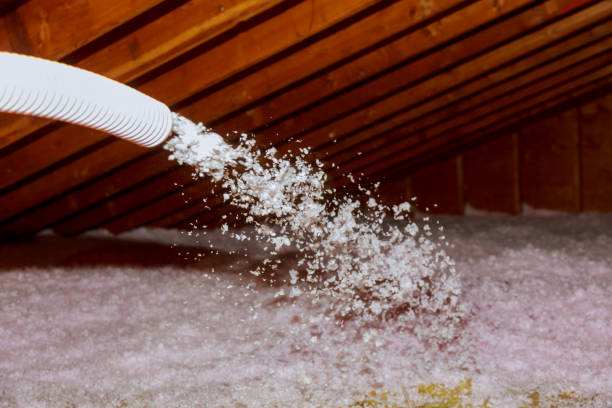 Professional Insulation Contractor in Bear Creek, AK